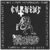 Grollfried / Corneus