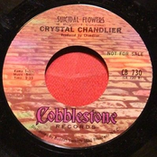 crystal chandlier