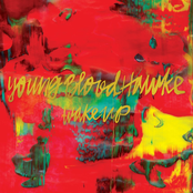 Youngblood Hawke: Wake Up (Spotify Version)