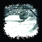 Good Fortune - Single