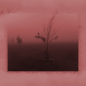 2014 Remastered Collection