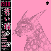 Cub