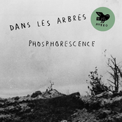 Phosphorescence