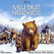 Mój brat niedźwiedź