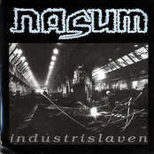 Skithus by Nasum