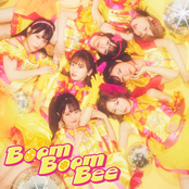 Boom Boom Bee