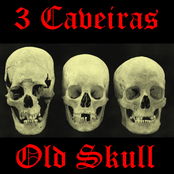 Old Skull