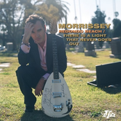 Noise Is The Best Revenge by Morrissey