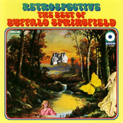 Mr. Soul by Buffalo Springfield