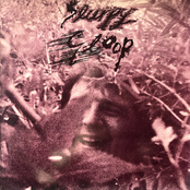 I HEARD IT IN A BATHTUB IN OHIO