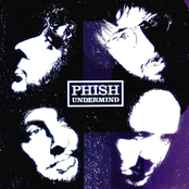 Maggie's Revenge by Phish