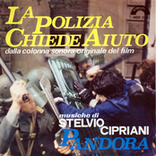 la polizia chiede aiuto / la polizia sta a guardare / la polizia ha le mani legate