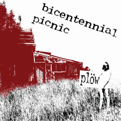 Bicentennial Picnic