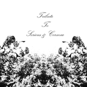 tribute to serious & cormac