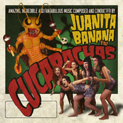 cucarachas