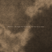 The Night That Guided Me