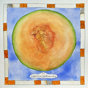 Tobacco City: America / Motorcade