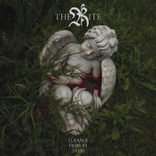 Пламя новой зари