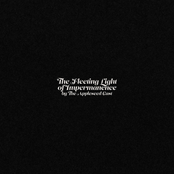 The Fleeting Light of Impermanence