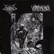 Zephyrous / Vorphalack