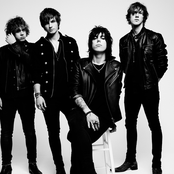 the struts