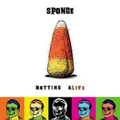 Giants by Sponge