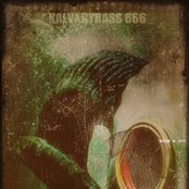 Revelations of Noise