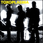 1981 by Toxoplasma