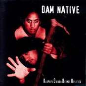 Revolution by Dam Native