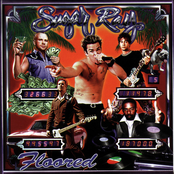 Sugar Ray: Floored