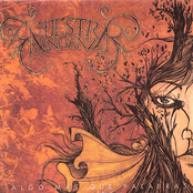 Algo mas que palabras