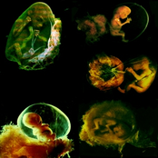 ...Perpetual Motion Machine...