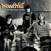 Honey Covered Razor Blades