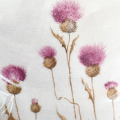 Runo Plum: flip your pillow