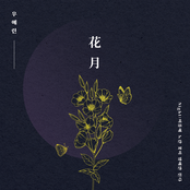 Night : 여름에 노란 꽃이 밤에만 핀다