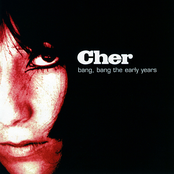 The Girl From Ipanema by Cher