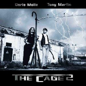 The Cage II