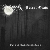 Forest of Dead Cursed Souls