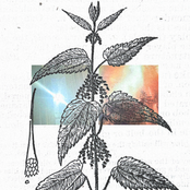 Song about bright objects