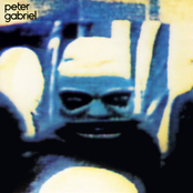 The Rhythm Of The Heat by Peter Gabriel