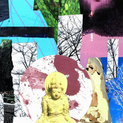 Split with Griefhound, Fascist Insect and Extreme Noise Terrier