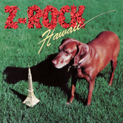 Z Rock Hawaii