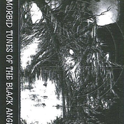 Morbid Tunes of the Black Angels Part 5