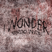 I Wonder