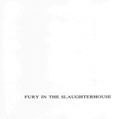 Pure Love by Fury In The Slaughterhouse