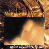 The Touch And The Darkness by Black Tape For A Blue Girl