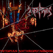 Dystopian Anthropotagonism