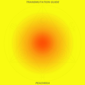 Transmutation Guide