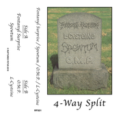 SPLIT WITH SPEWTUM, OMP AND L-CYSTEINE