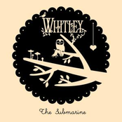 White Feathers, Strange Sights by Whitley